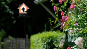 Mygardenandpatio com A Complete, Honest Review for Home & Garden Lovers