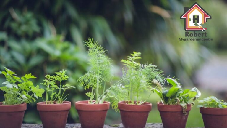 The Best Native Plants for a Thriving Eco-Friendly Garden