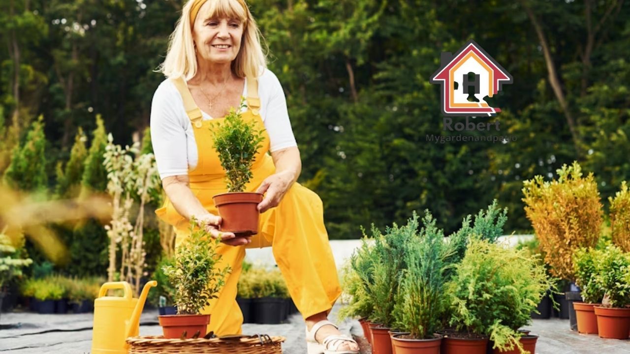 www mygardenandpatio com A Deep, Honest Review From a Garden Lover